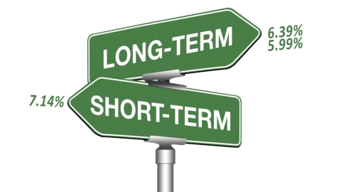 long or short term ?