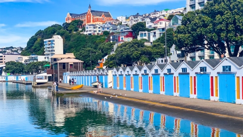 Wellington boat sheds