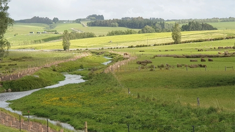 Otago water system
