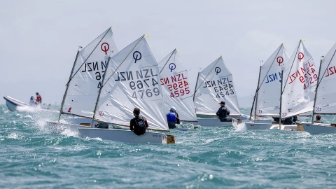 Auckland regatta