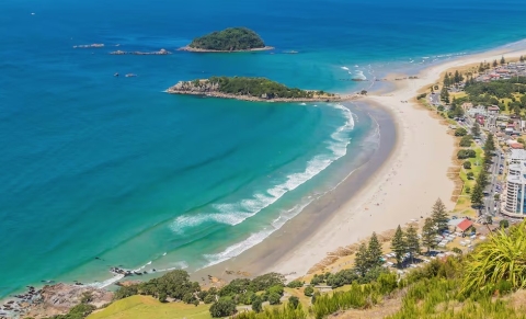 Bay of Plenty beach