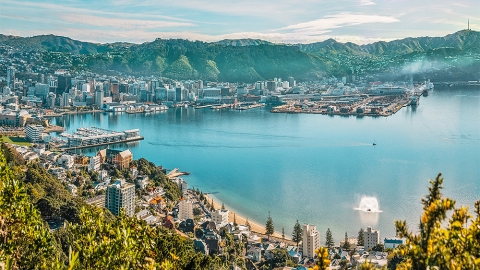 Wellington on a good day