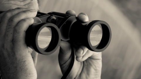Looking ahead with binoculars
