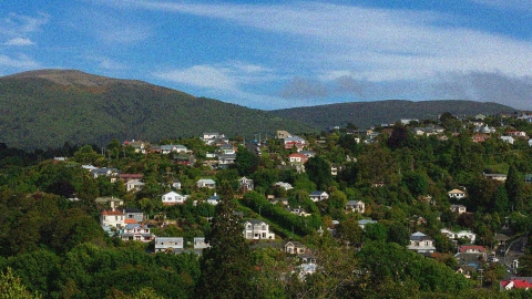A landscape image of a neighbourhood on a hill in Dunedin.