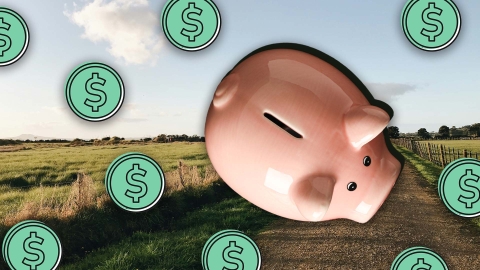 A composite image of a New Zealand farm overlayed with a piggy bank and dollar signs.