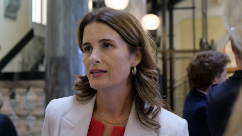 Finance Minister Nicola Willis talks to reporters. Image source: Mandy Te