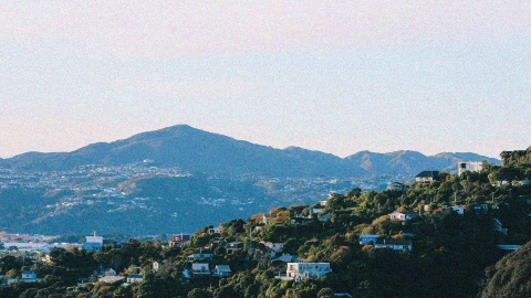 A view of Wellington.