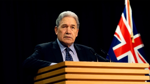 Winston Peters speaks to reporters. 