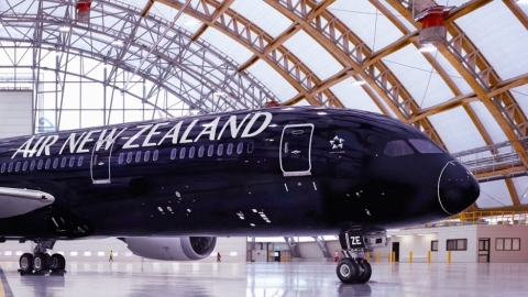 airnz-plane2.jpg