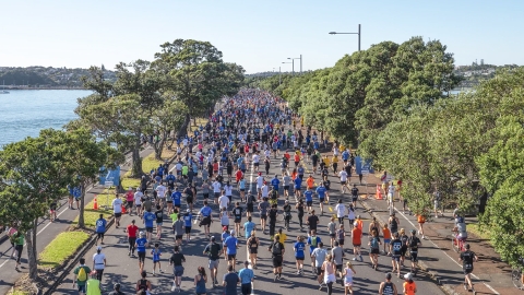 Auckland Round the Bays fun run