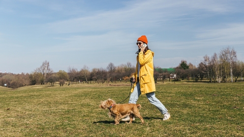 talking to clients while walking the dog