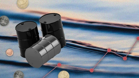 Calm waves overlayed with a dotted line chart, oil barrels and New Zealand coins. 