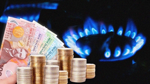 A composite image of a gas cooktop overlayed with stacks of coins and New Zealand money.