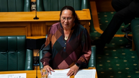Nicole McKee, who is part of the ACT Party, is the Minister for Courts and the Associate Minister of Justice. Image source: Supplied