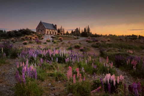Tekapo