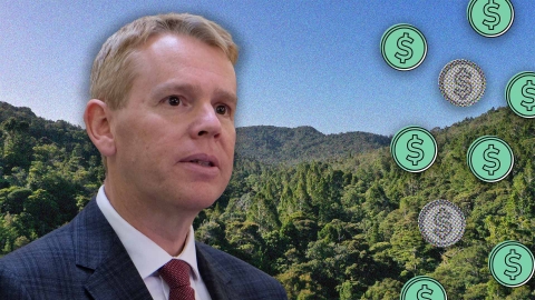 A composite image of a forest overlayed with dollar signs and Labour leader Chris Hipkins.