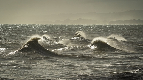 surf backwash